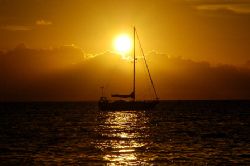 Nice afternoon for sailing. Roatan, Honduras. by Shawn Jackson 
